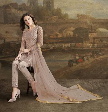Grey Embroidered Net Semi Stitched Salwar With Dupatta 3
