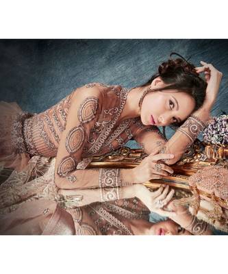 Brown Embroidered Net Salwar With Dupatta 2