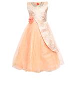 Beige Net Party Gown