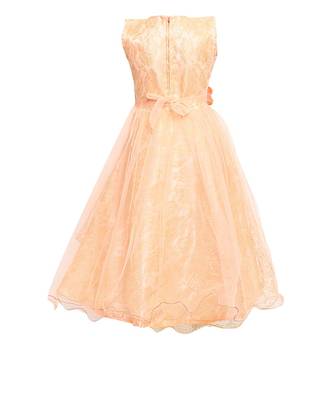 Beige Net Party Gown 2