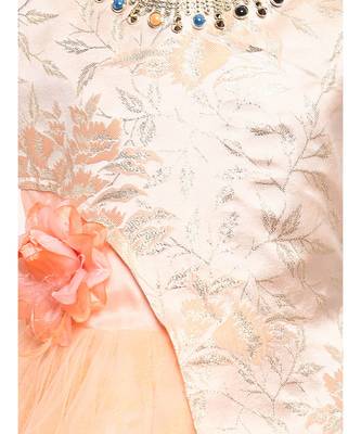 Beige Net Party Gown 3