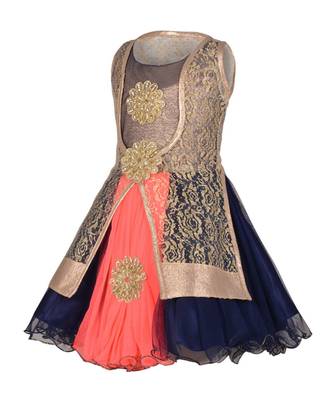 Blue Net Frock 2