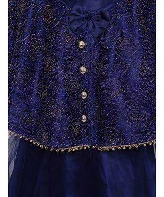 Navy Blue Net Gown 3