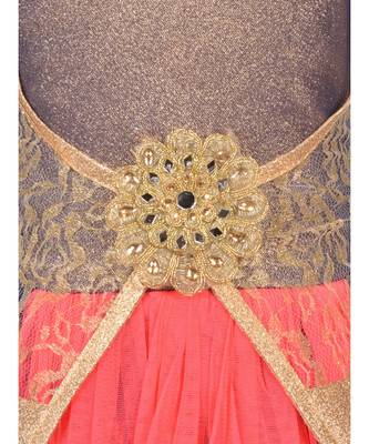 Blue Net Frock 4