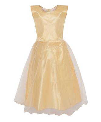 Yellow Net Gown 1