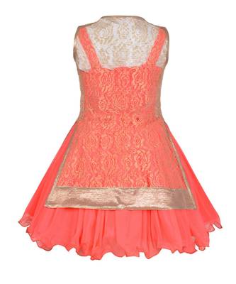 Pink Net Frock 3