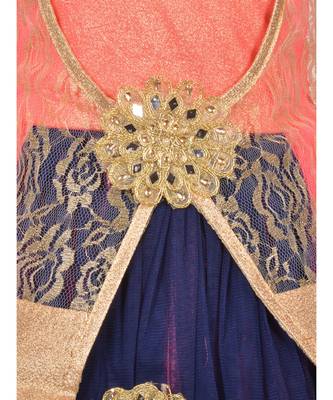 Pink Net Frock 4