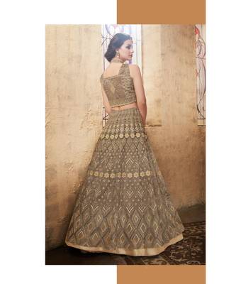 Beige Embroidered Net Salwar With Dupatta 2