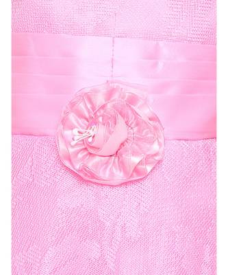 Pink Net Gown 2