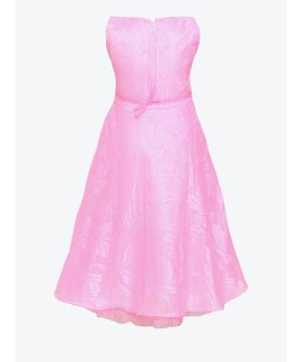 Pink Net Gown 3