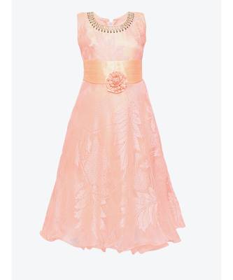 Pink Net Gown 1
