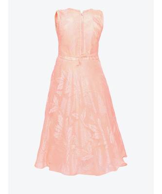 Pink Net Gown 3