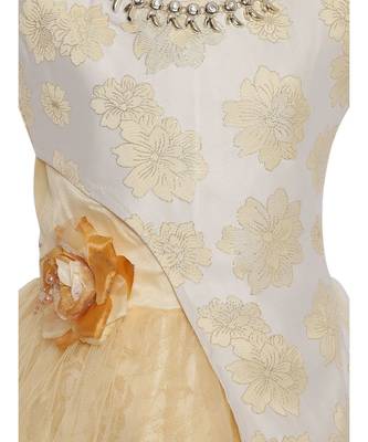 Beige Net Gown 2