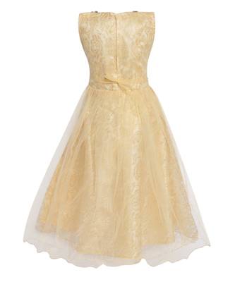 Beige Net Gown 3