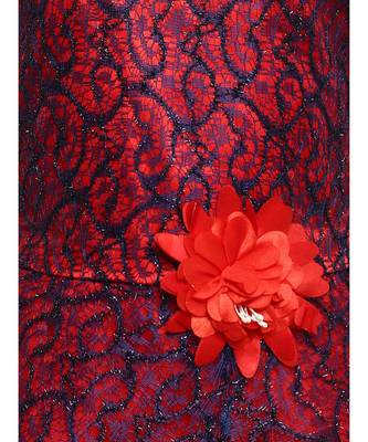 Red Net Gown 3