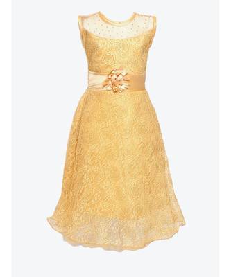 Beige Net Gown 1