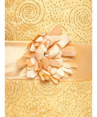 Beige Net Gown 2