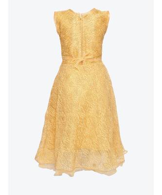 Beige Net Gown 3