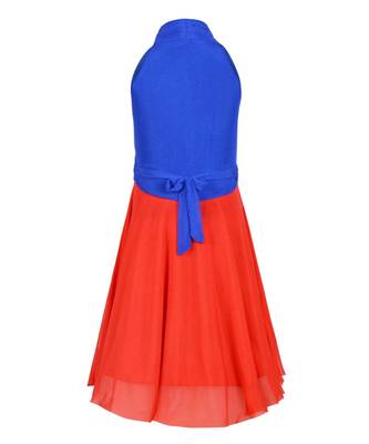 Blue Net Frock 3