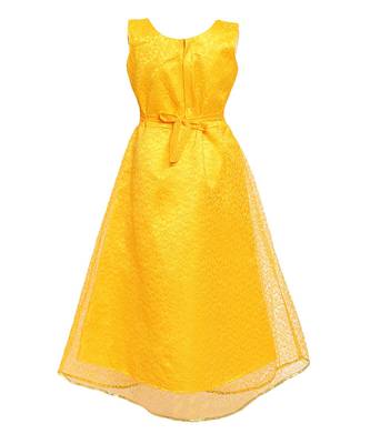 Yellow Net Gown 2