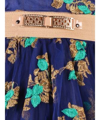 Blue Net Gown 4