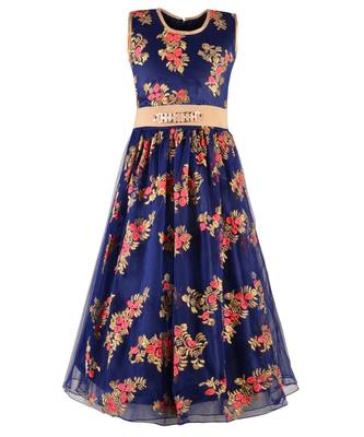 Blue Net Gown 1