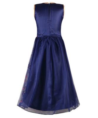 Blue Net Gown 3