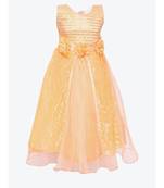 Orange Embroidered Net Kids Girl Gowns