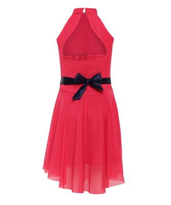 Pink Nylon Frock 2