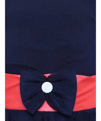 Blue Embroidered Nylon Kids Frocks 3