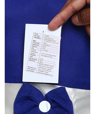 Blue Embroidered Nylon Kids Frocks 4