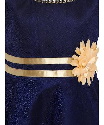 Blue Nylon Frock 3