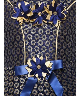 Blue Nylon Frock 3