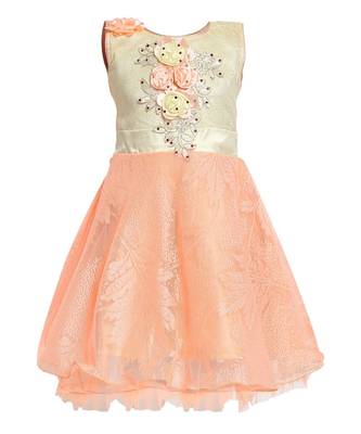 Pink Nylon Frock 1