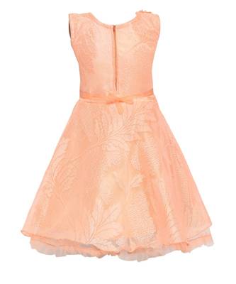 Pink Nylon Frock 2