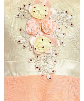 Pink Nylon Frock 3