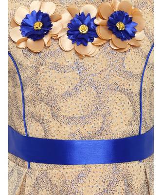 Beige Nylon Frock 3