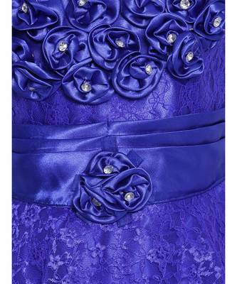 Blue Net Frock 3