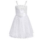White Net Frock