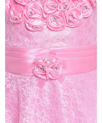 Pink Net Frock 3