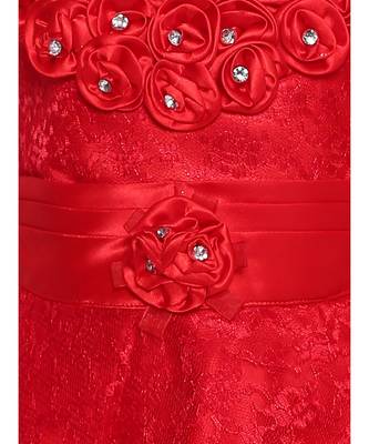 Red Net Frock 3