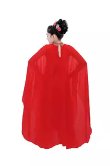 Red Georgette Embroidered Zari Work Kids Kaftans