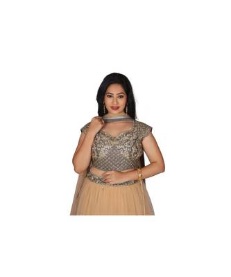 Gold Embroidered Net Readymade Lehenga Cholis 3