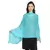 Light Blue Woollen Woven Design Paisley Shawl