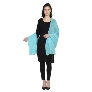 Light Blue Woollen Woven Design Paisley Shawl 3