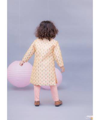 Gold Beige Embroidery Ajkan with Churidar 2