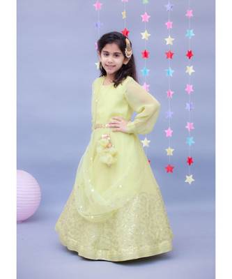 Light Green Embroidery Georgette Anarkali 1