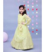 Light Green Embroidery Georgette Anarkali