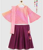 purple striped kota doria full sleeves choli with contrast chanderi lehnga