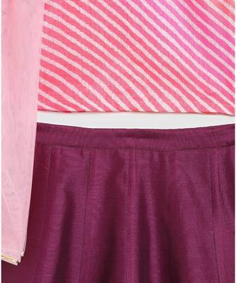purple striped kota doria full sleeves choli with contrast chanderi lehnga 7